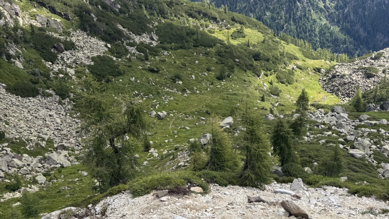 Val Vendrame dall'alto anello forcella segura 20260719 - 12_Panorama verso la parte bassa della Val Vendrame